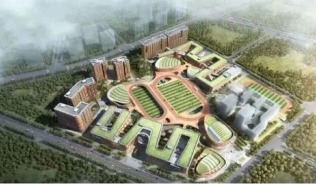 1663816637108435.jpg 1.jpg